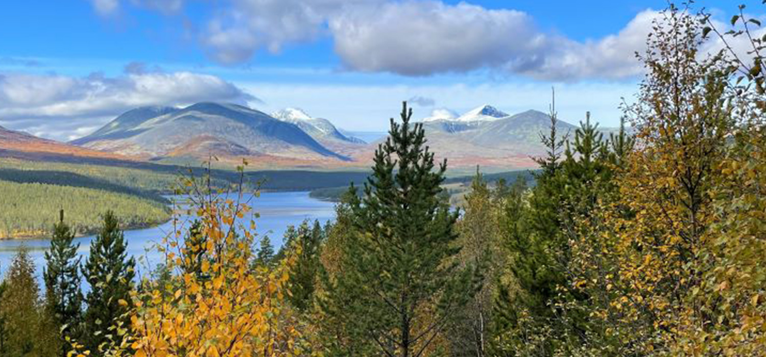 Die Reisen 2023 - Norwegen / Marienbader Elegien